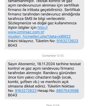 Doğalgaz Projesi Onayı Ve Tesisat Sorunu Mağduriyeti