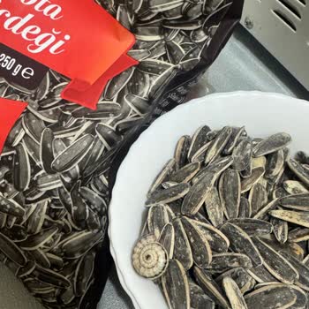 Çerezya Çekirdeğinden Çıkan Salyangoz Şoku