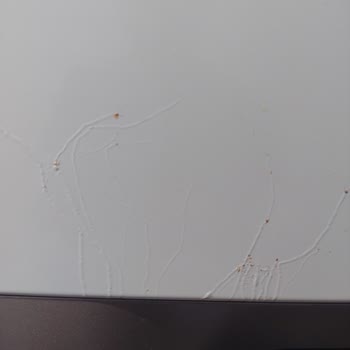 Vestel Buzdolabında Paslanma Ve Garanti Sorunları