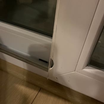 Proline Doğramalarla Isı Kaybı Ve İlgisizlik Sorunu