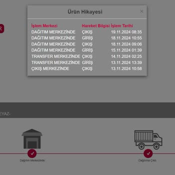 Teslimat Krizi: Adres Yetersizliği Ve İletişim Sorunları