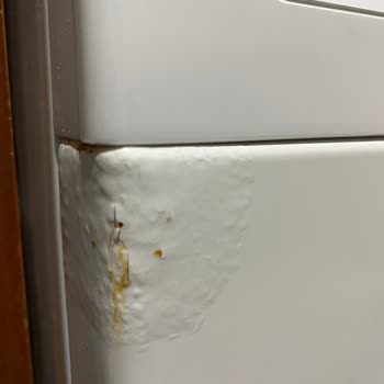 Bosch Çamaşır Makinesi: Garanti Ve Kalite Hayal Kırıklığı