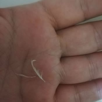 Banvit Salamda Şok Edici Tavuk Tüyü!