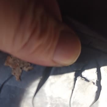 Ford Focus Lastik Sorunu: Güvenlik Riski Ve Mağduriyet