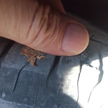 Ford Focus Lastik Sorunu: Güvenlik Riski Ve Mağduriyet