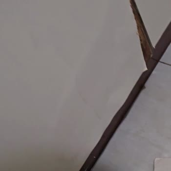 Yanlış Bağlanan Vana Evi Su Bastı!