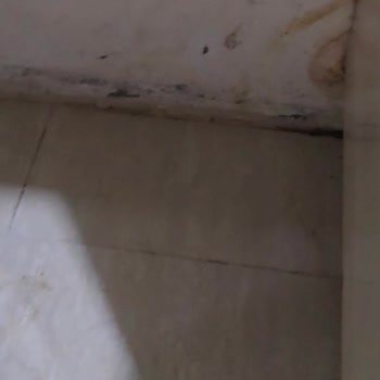 Yanlış Bağlanan Vana Evi Su Bastı!