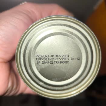 Jungle Pet Food Kedimin Ölümü: Mama Sonrası Şok