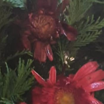 Düğün Çelengi Hayal Kırıklığı: Eksik Ve Kullanılmış Çiçekler