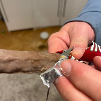 Tadelle Çikolatasında Kurt Şoku