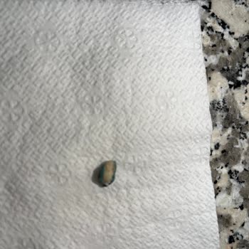 Sandviç Ekmeğinde Plastik Madde Şoku