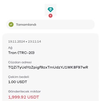 USDT Transferi Sorunu: Acil Çözüm Bekliyorum