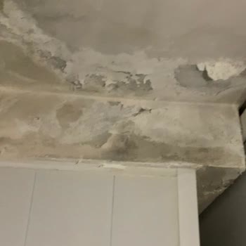 RE/MAX İle Yaşadığım Kiracı Ve Emlak Sorunları