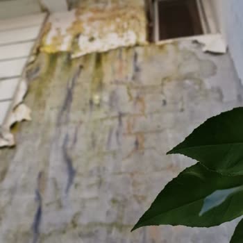 RE/MAX İle Yaşadığım Kiracı Ve Emlak Sorunları