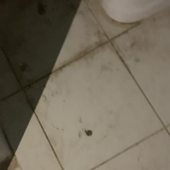 RE/MAX İle Yaşadığım Kiracı Ve Emlak Sorunları