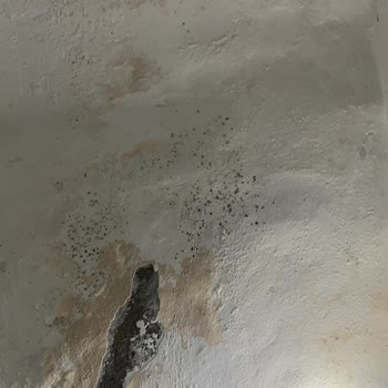 RE/MAX İle Yaşadığım Kiracı Ve Emlak Sorunları