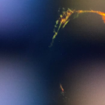 Ölü Piksel Sorunu: LG Monitörümde Artan Yeşil-Beyaz Noktalar