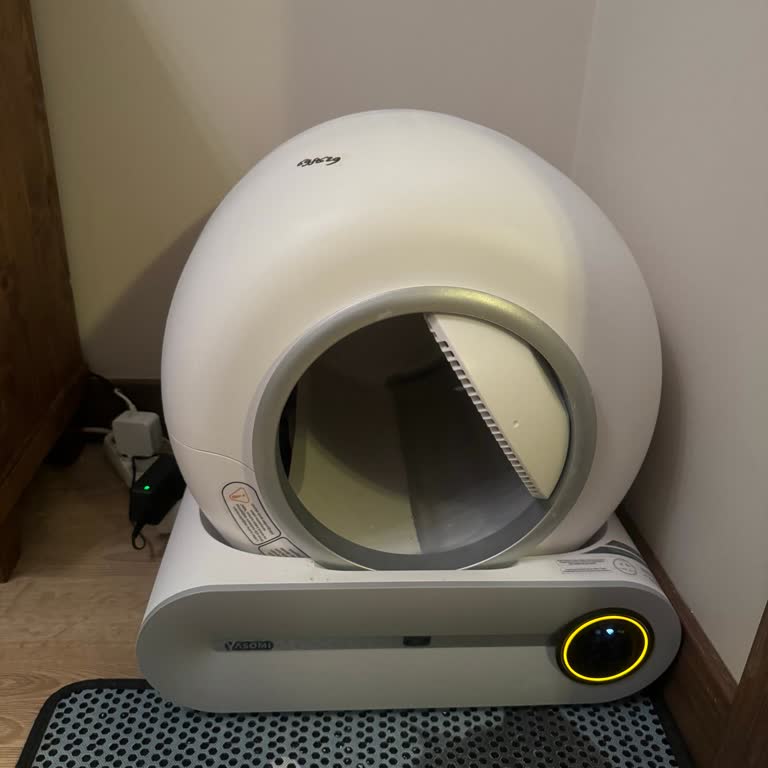 Kedi Tuvaletinde Sürekli Arıza Ve Yetersiz Servis