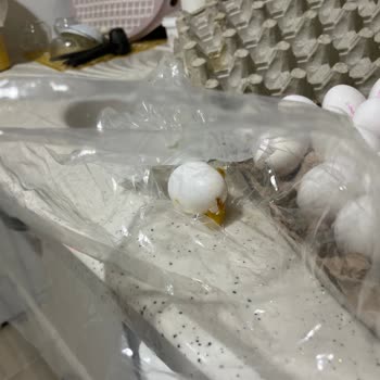 A101'den Aldığım Bozuk Yumurtalar