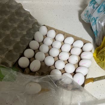 A101'den Aldığım Bozuk Yumurtalar