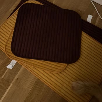 Kaygan Banyo Paspası Tehlikesi