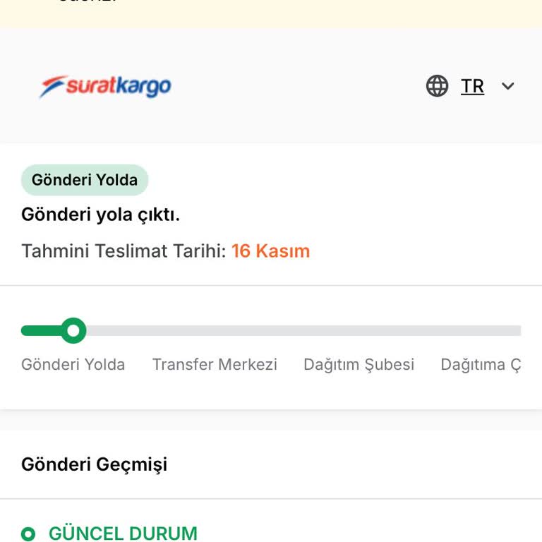 Teslim Edilmeyen Kedi Maması Ve İlgisizlik