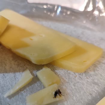 Eski Kaşarda Şok: Sinekli Ürün Skandalı