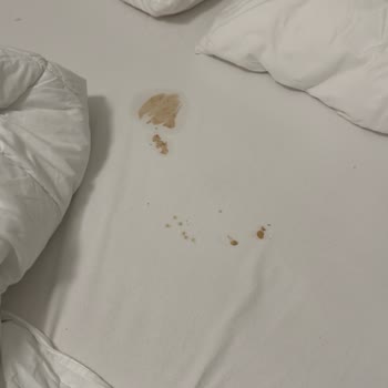 Körfez Termal'de Sağlık Riski Ve İlgisizlik