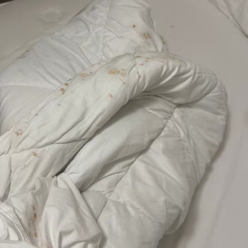 Körfez Termal'de Sağlık Riski Ve İlgisizlik