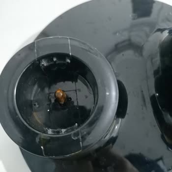 Blender Seti Paslanma Ve Kalitesizlik Sorunu