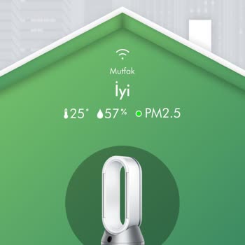 Dyson Hava Temizleyici: Gizemli Koku Ve Müşteri Hizmetleri Hayal Kırıklığı