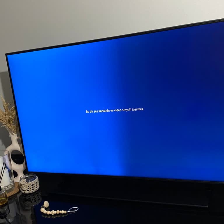 Samsung TV'nin Garanti Sonrası Panel Arızası Mağduriyeti