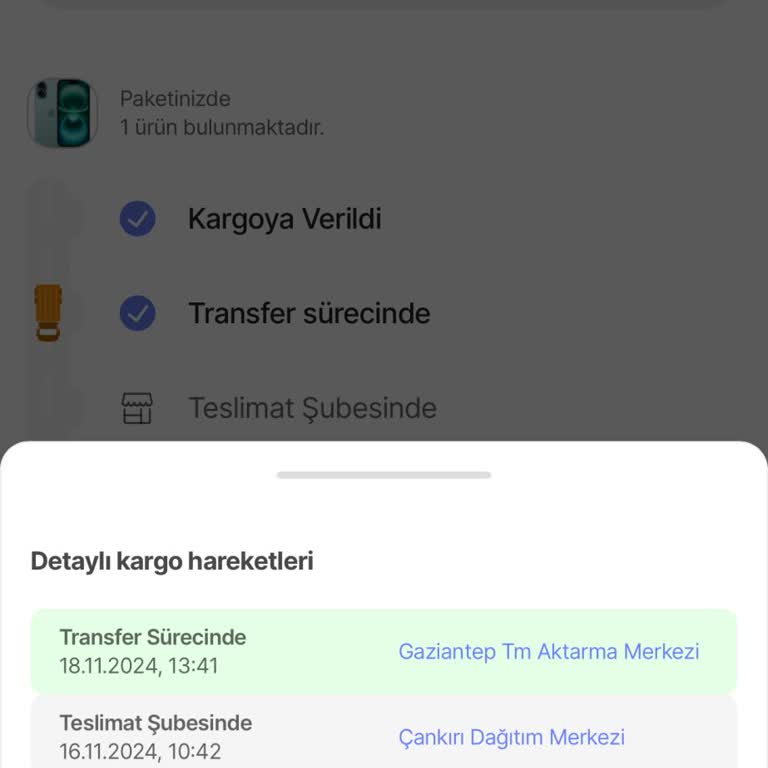 Teslim Edilmeyen Telefon: Kargo Karmaşası Ve Müşteri Hizmetleri Sorunu