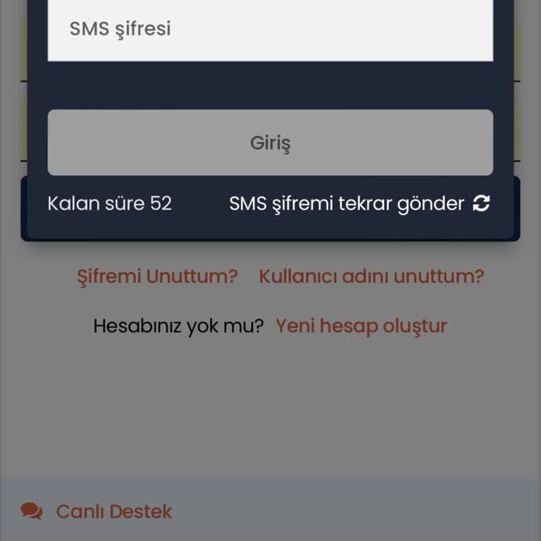 Para Çekiminde Mesaj Problemi Ve Hesap Erişim Sorunu