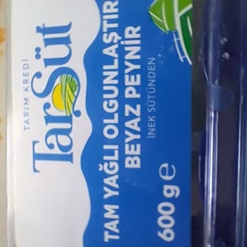 Devlet Güvencesindeki Peynirin Küflenme Sorunu