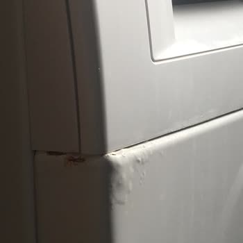 Bosch Çamaşır Makinesinde Erken Paslanma Sorunu