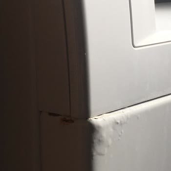 Bosch Çamaşır Makinesinde Erken Paslanma Sorunu