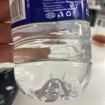 Sultan Su'da Yabancı Madde Şoku