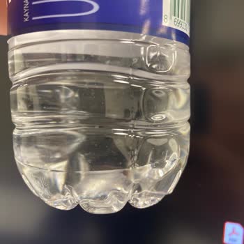 Sultan Su'da Yabancı Madde Şoku