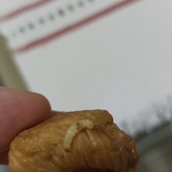 İncir Siparişinde Hayal Kırıklığı Ve İade Sorunu