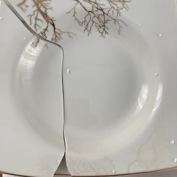 Kargo Ve Ürün Sorunlarıyla Karaca Mağazasında Hayal Kırıklığı