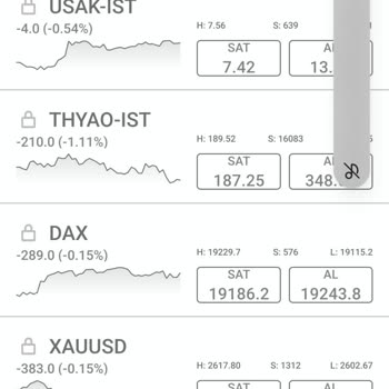 Yatırım Platformunda Yaşanan Büyük Kayıp