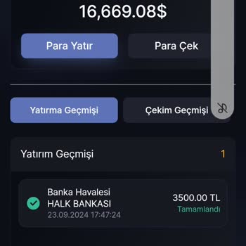 Yatırım Platformunda Yaşanan Büyük Kayıp