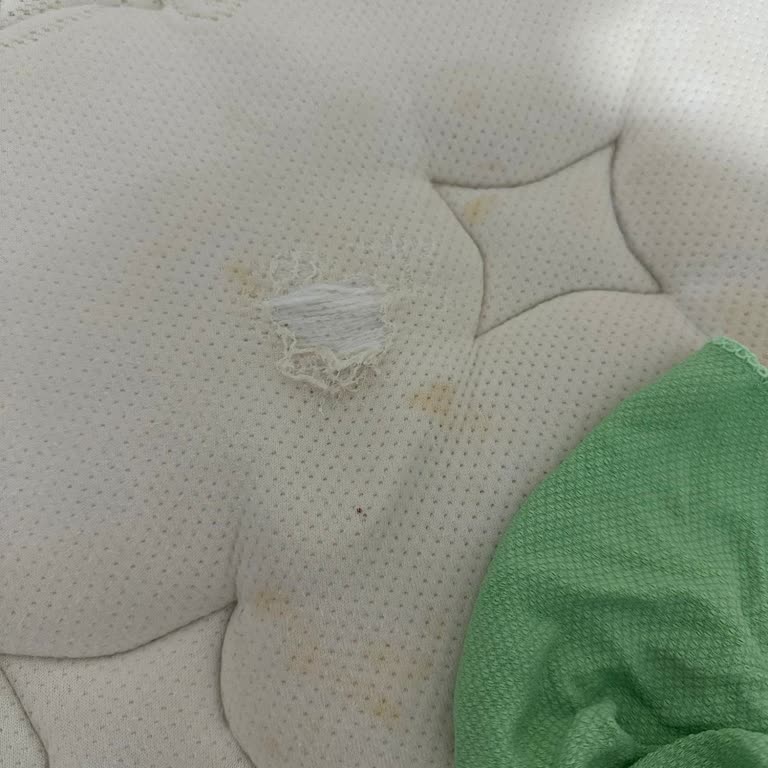 Mondihome Yatakta Beklenmedik Yıpranma Ve Yetersiz Müşteri Hizmeti