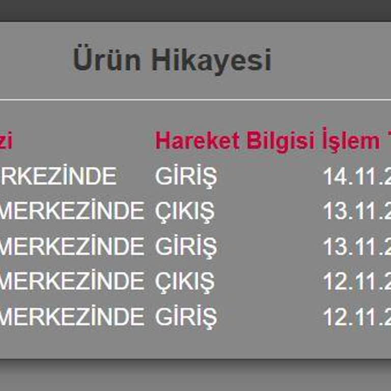 Horoz Lojistik İle Sürekli Teslimat Gecikmesi
