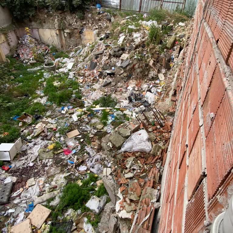 Gaziosmanpaşa'da Köpek Sorunu Çözülmüyor