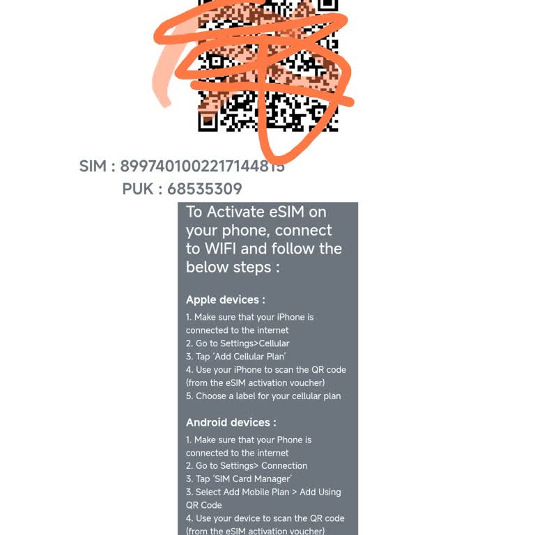 Yurt Dışında Esım Erişimi Sorunu