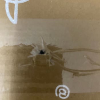 Trendyol Express Kargo Sorunları Ve İlgisizlik