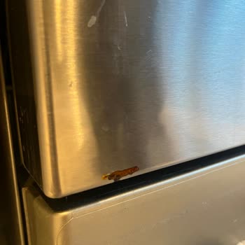 Bosch Dishwasher SMS44DI01T Front Panel Corrosion After 4.5 Years of Use