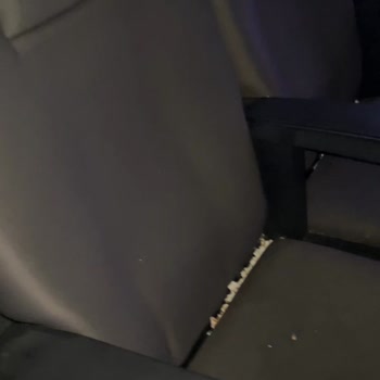 Site Sinemaları Hayal Kırıklığına Uğrattı!